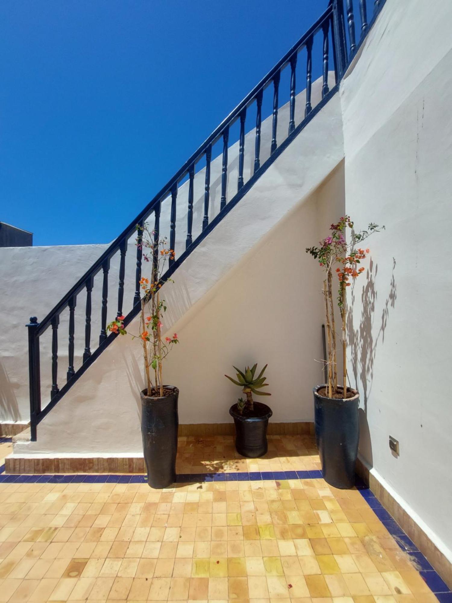 Riad Babette Essaouira Extérieur photo